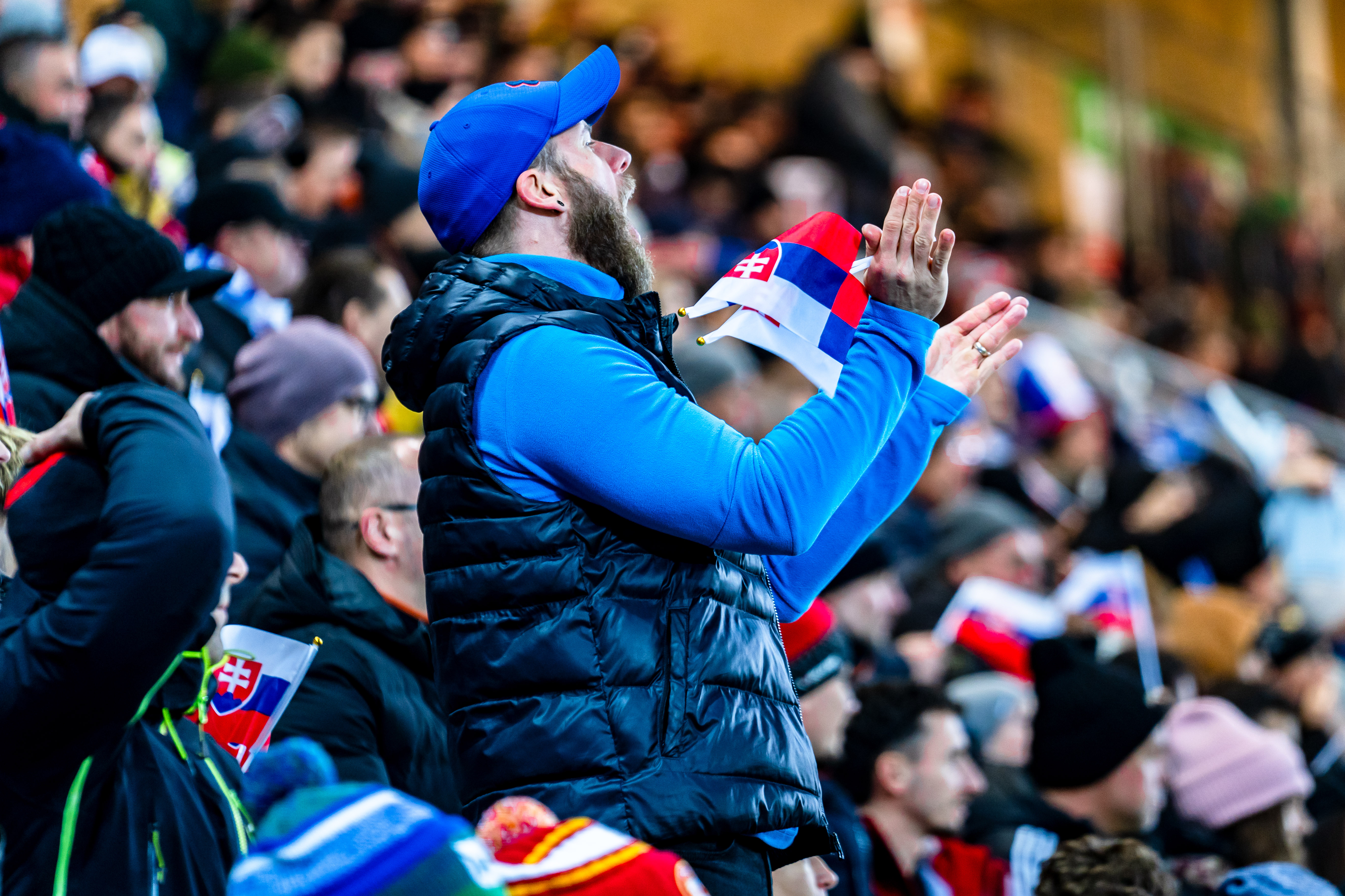 Slovensko vs Severne Irsko-37